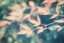 全明星球员齐聚一堂展开激烈角逐！