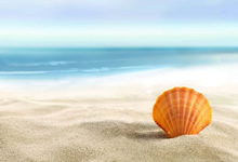 篮球联赛火热进行中，球员斗志昂扬！