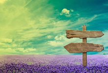 欧洲杯篮球联赛：马刺队惜败骑士